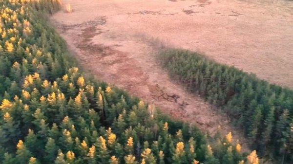 Белоостров. Экологическая тропа.