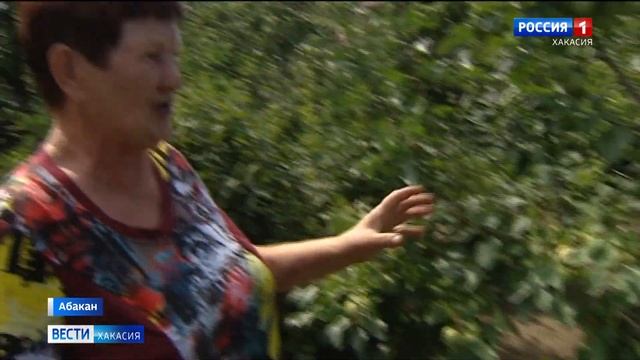 Православные верующие Хакасии отмечают Яблочный Спас