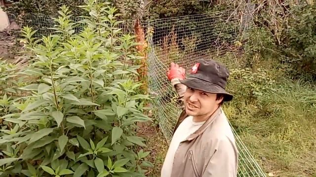 Забор, опоры для сетки смотреть онлайн