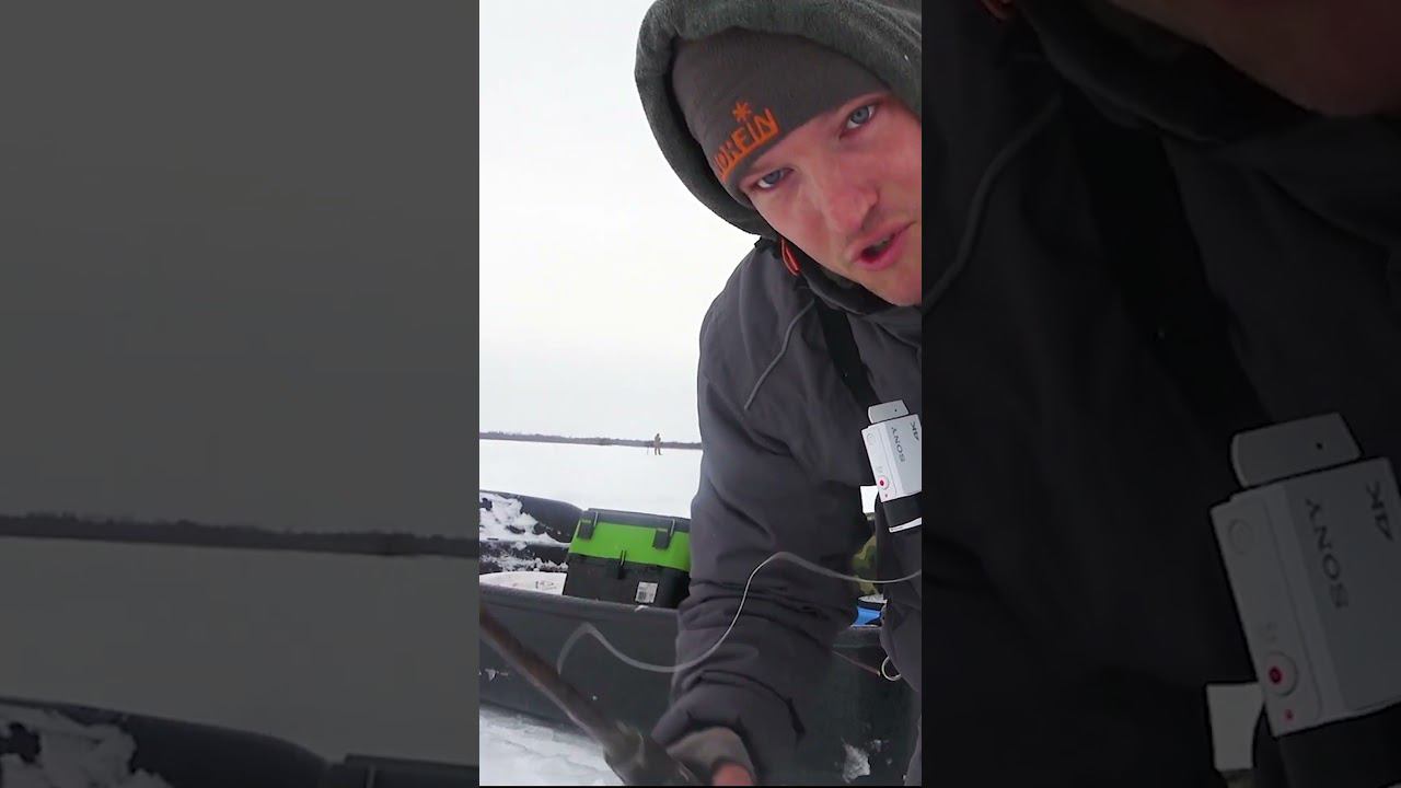 ЛОВЛЮ НА СТОЛЕТНЮЮ УДОЧКУ #shorts #рыбалка #удочка #охотник #охота #отшельник #изба смотреть онлайн