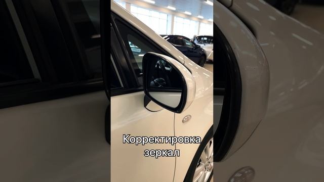 Toyota Wish, 2010 год смотреть онлайн