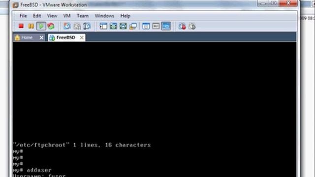 FreeBSD: установка и настройка на VMware (8 урок)