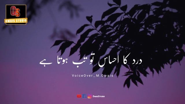 Tuta Ho Dil Tu Dukh Hota Hai | Shero Shayari Status 2022 смотреть онлайн
