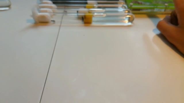 Все мои Муравьи! Обзор всех моих видов муравьев и не только! смотреть онлайн