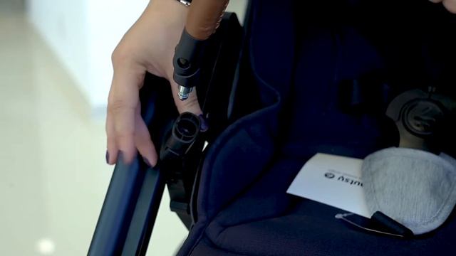 Mutsy I2 2 в 1 - Stroller Full Review