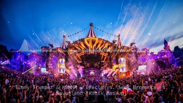 Timmy Trumpet & KSHMR - Oracle vs. Seek Bromance vs. Neverland [Kubik Mashup] смотреть онлайн