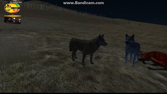○Wolf Quest l2.7.Demol Family life○ смотреть онлайн