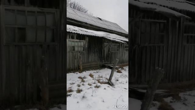 Как живёт пожилое население в изчезающих поселениях. смотреть онлайн