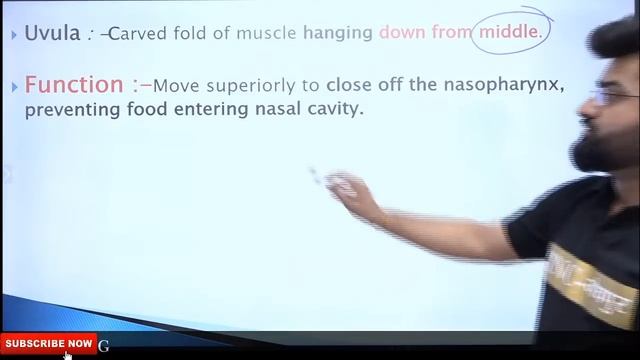 Digestive System Part-1 (Mouth, Tongue, Teeth, Salivary Gland) смотреть онлайн