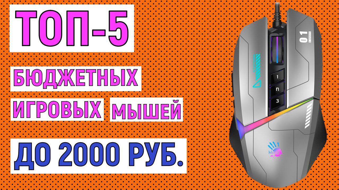 ТОП-5 лучших бюджетных игровых мышей до 2000 рублей. Рейтинг смотреть онлайн