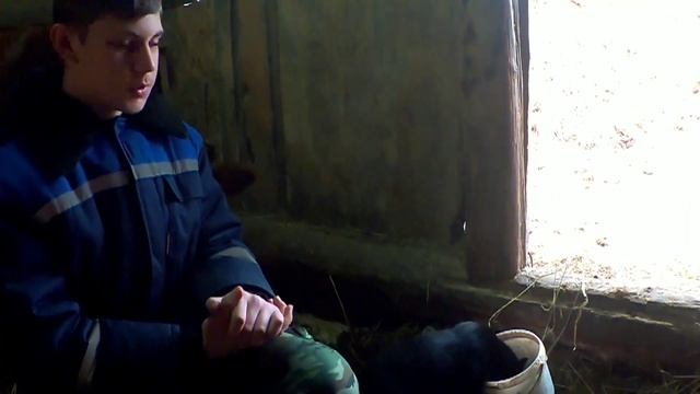 Что у наших коров с именами!? Как мы их придумывали? смотреть онлайн
