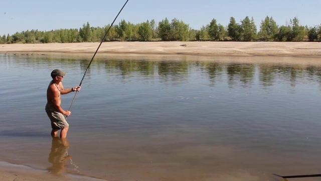 Ловля сазана на маховую удочку смотреть онлайн