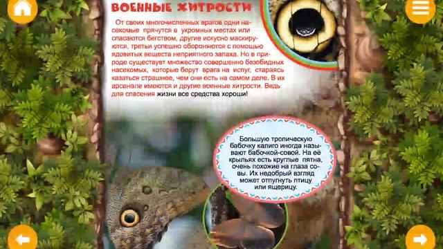 ЭНЦИКЛОПЕДИЯ: НАСЕКОМЫЕ #2 смотреть онлайн