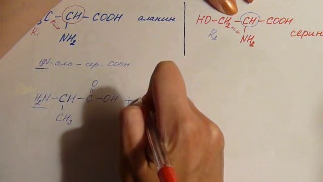 Пептидная связь. Образование пептидной связи. Запись структурной формулы пептида. смотреть онлайн