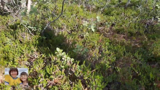 Малый Вудьявр/Кировск Мурманская область. 1 часть. смотреть онлайн