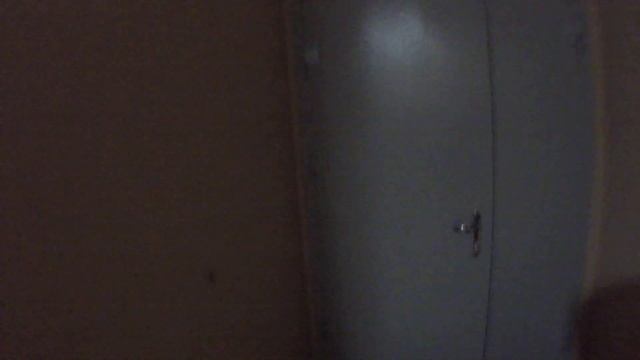 Дверь полуторная противопожарная от Строймир. смотреть онлайн