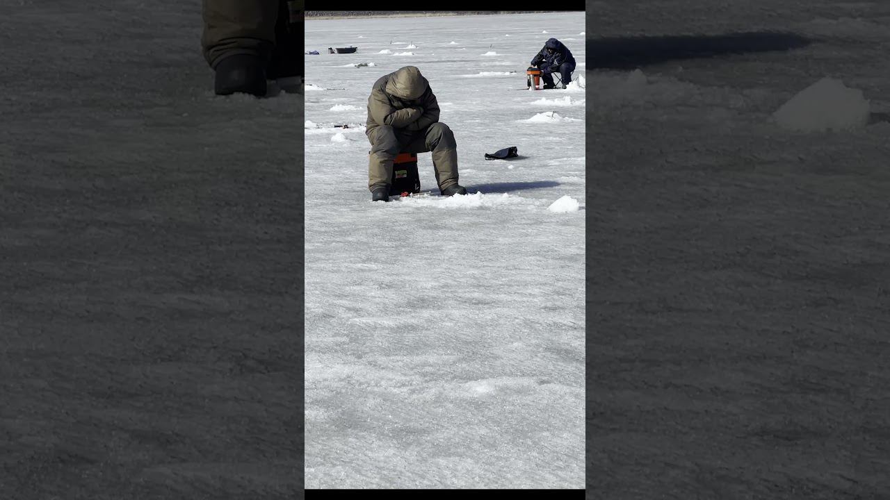 Рыбак от бога. И рыбку поймать и с другом на льду выспаться. #рыбалка #палатка #fishing #север смотреть онлайн