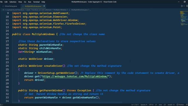 Multiple Window Week 7 Hands-on of Selenium with Java #TechieCoding смотреть онлайн