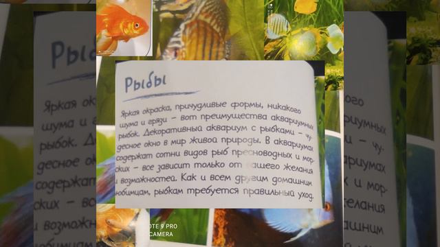 окружающий мир 2 класс 2 часть рыбы смотреть онлайн