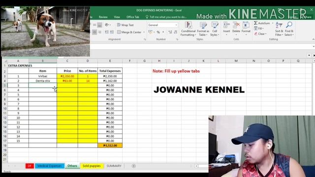 DOG Breeding business Philippines EXPENSES | INCOME | TIPS смотреть онлайн