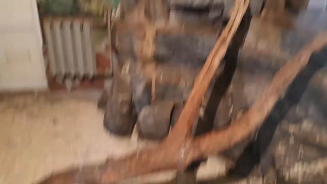 В мире животных- Алматинский зоопарк декабрь 2019(3) смотреть онлайн