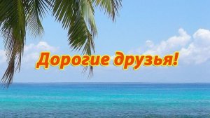 Песня про Самиру