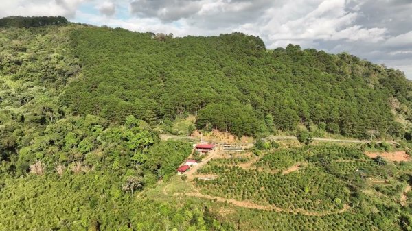 flying a copter in the jungle Un22