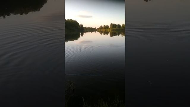 кастинговая сеть. #ловля #рыбы #кастинговой #сетью. #способ#заброса#озеро урваново.красивые места. смотреть онлайн