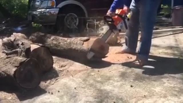 Cutting Log Using Chainsaw. (Wellerman WL5200)