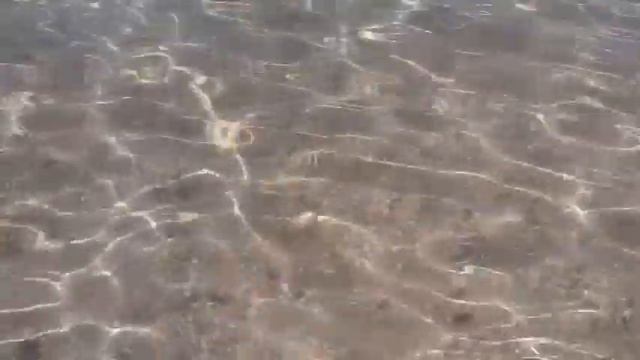 Благовещенская станица , Анапский р-он , чистое Чёрное морюшко , начало сентября 2018 года смотреть онлайн