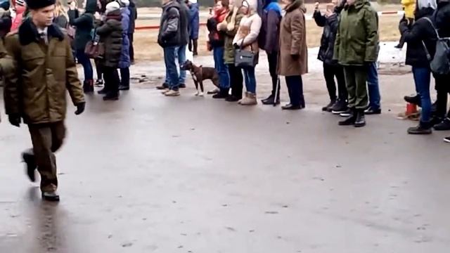 Печи 14.12.19 смотреть онлайн