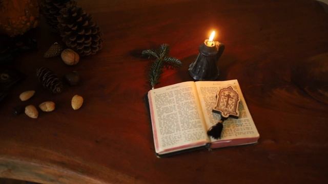 July 2 : Synaxarion, Reflection and Homily ( in description ) смотреть онлайн