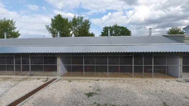 Вольеры для кур George Standard