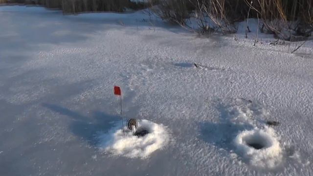 Щучья рыбалка зимой 01.12.21. смотреть онлайн