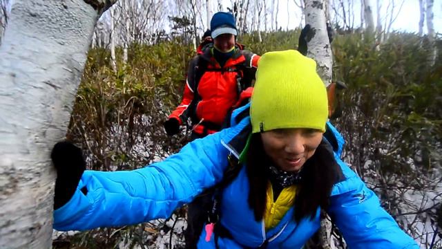 Бамбук-прогулка в районе горы Сияния смотреть онлайн
