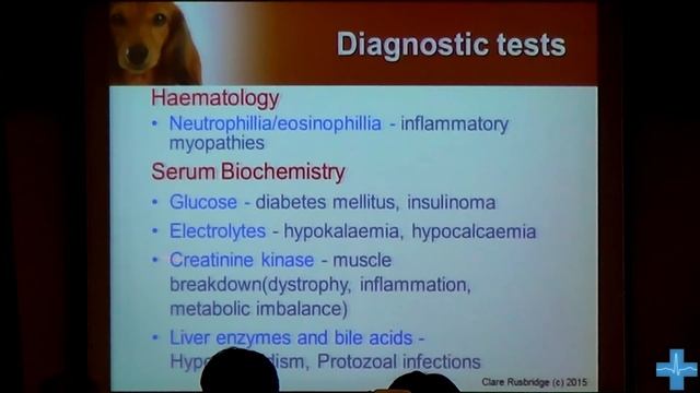 Нейромышечные заболевания собак и кошек. Neuromuscular disease смотреть онлайн