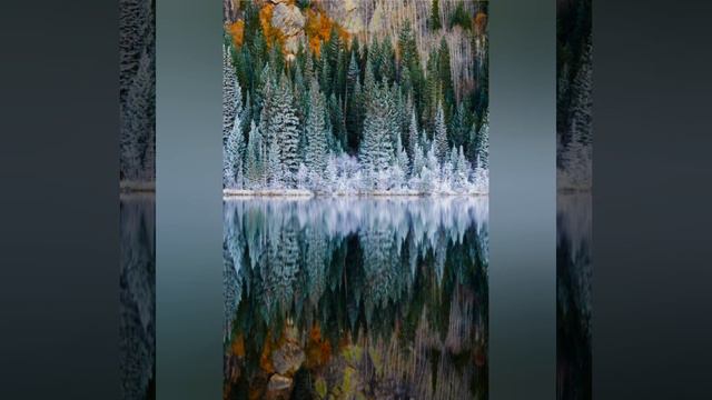 Роздуми над Словом Божим 16.12.2020 Євангеліє від Луки 20:1- 8 смотреть онлайн