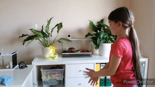 Как я ухаживаю за моими цветочками. смотреть онлайн