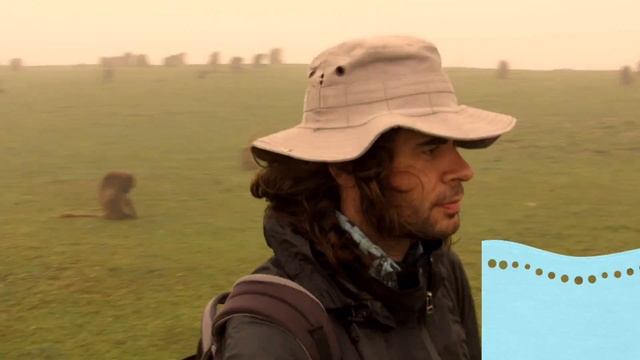 Ethiopian MONKEYS: The Gelada Baboons