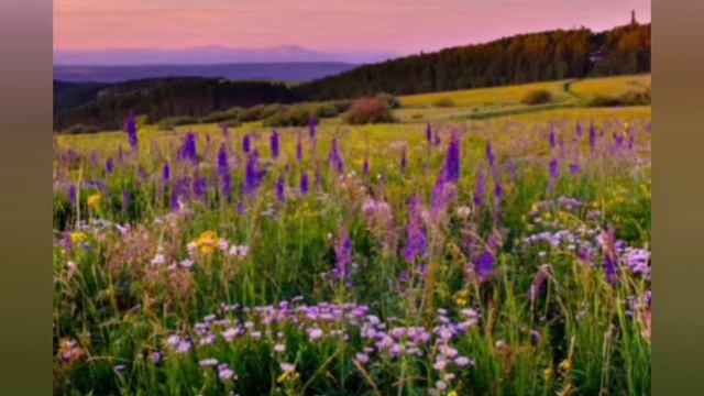 Медитация ,, Заземление,, смотреть онлайн