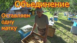 РАСШИРЕНИЕ! Оставляем одну матку. ОБЪЕДИНЕНИЕ!