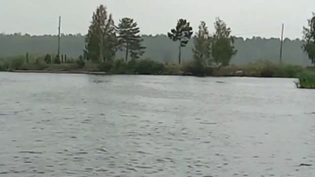Рефтинское водохранилище. Залив дирекция , холодный канал , старый сброс . смотреть онлайн