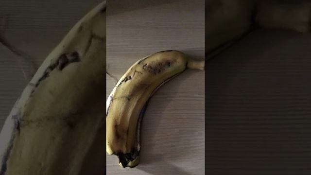 Рецепты быстрой и вкусной еды 