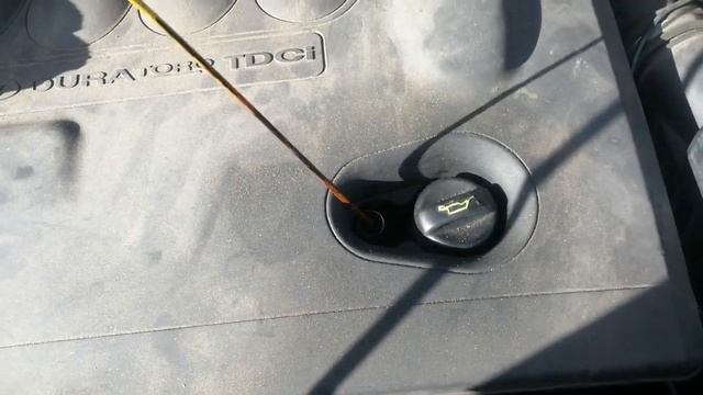 Разборка Ford - S-Max 2006-2010, 2.0 TDCI (VIN: WF0SXXGBWS9K83103) YP59JRZ смотреть онлайн