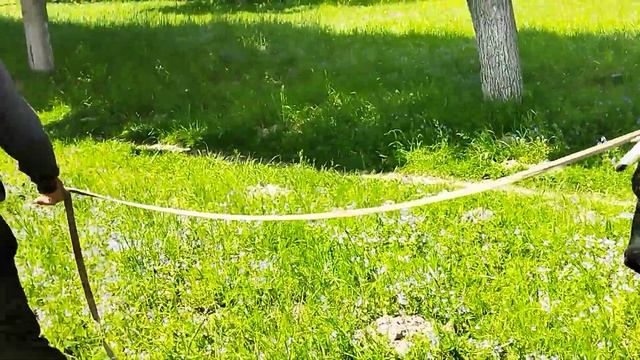 Жеребец Мустанг помощник в хозяйстве смотреть онлайн