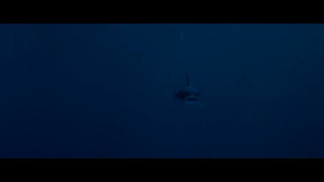 5 классных фильмов о противостоянии акулы и человека. Лучшие фильмы смотреть онлайн