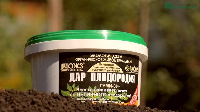 Вернуть гумус в почву - восстановление плодородия. Применение гумусных препаратов смотреть онлайн