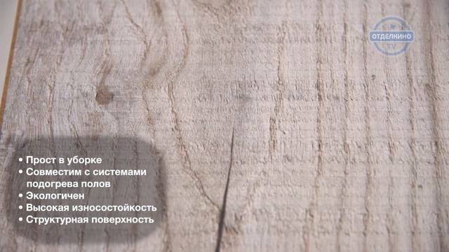 RITTER ORGANIC 34 ДУБ ЛЕТНИЙ смотреть онлайн