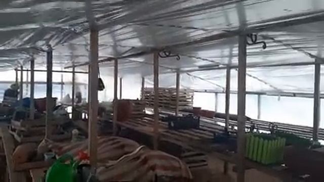 Как быстро очистить снег с крыши Надежный способ уборки снега с навеса и теплицы??.mp4 смотреть онлайн