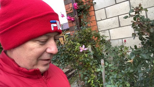 легко и быстро сбросил 7 кг / МАМА радовалась как ребенок / домерил МАСЮ смотреть онлайн